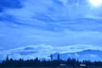 DSC_5825 (Large).JPG